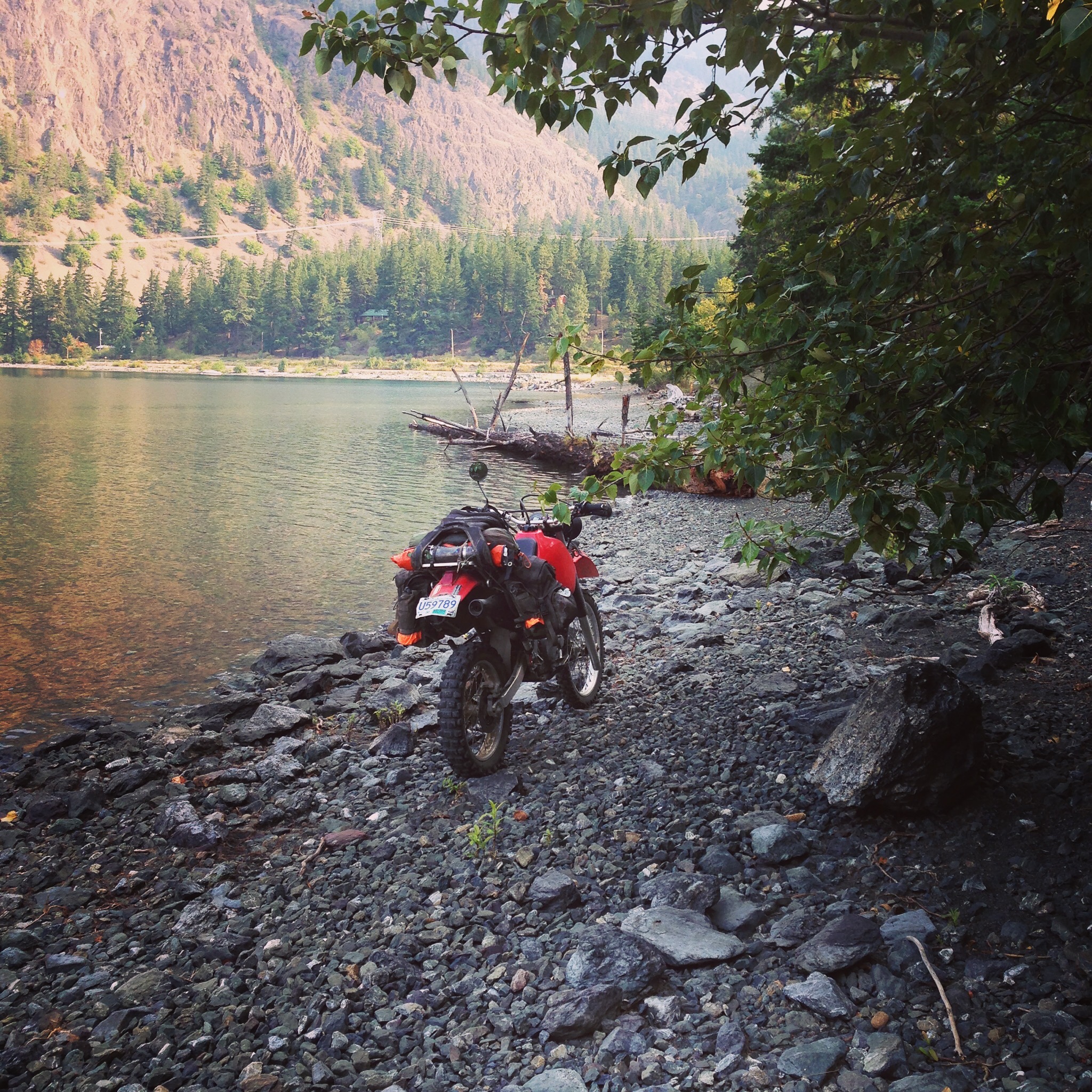 Handlebar POV on forest road